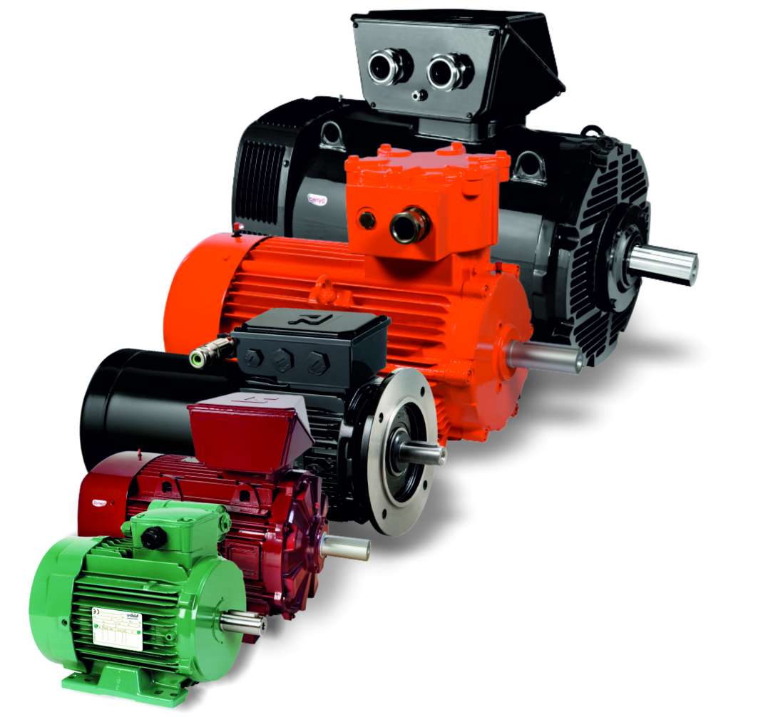 Electric Induction Motors